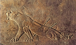 A bas-relief of a wounded lioness from the Palace of Ashurbanipal at Nineveh, in the British Museum. 
