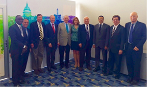 WFN/AAN leadership meeting 67th Annual AAN Congress, Washington, DC, 2015. From left to right, Gallo Diop, Ralph Sacco, Terence Cascino, William Carroll, Tim Pedley, Catherine Rydell, Raad Shakir, Riadh Gouider, Steve Lewis and Wolfgang Grisold.